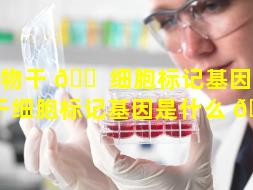 植物干 🐠 细胞标记基因（植物干细胞标记基因是什么 🕷 ）